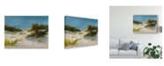 Trademark Global Ethan Harper Summer Dunes I Canvas Art - 15" x 20"